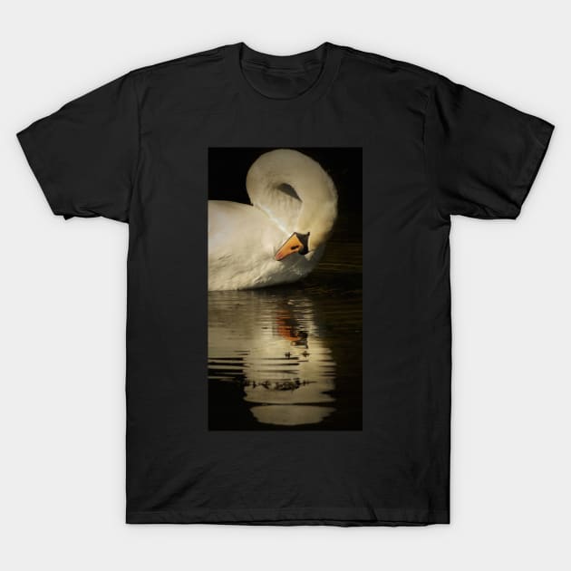 THE UGLY DUCKLING T-Shirt by dumbodancer